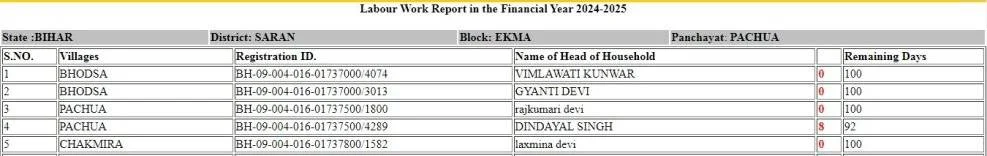 Labour Work Report